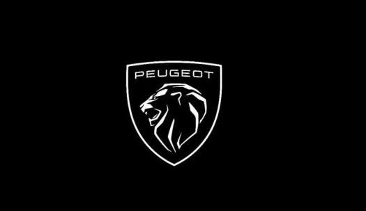 第11代狮标亮相漂后品牌全新启航！！！